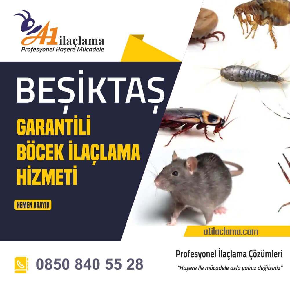 Beşiktaş Böcek İlaçlama