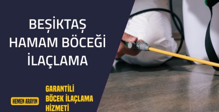 Beşiktaş Hamam Böceği İlaçlama